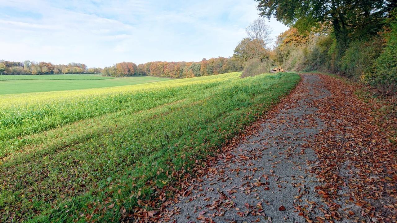 Haus Im Grunen Villa Billerbeck Eksteriør bilde